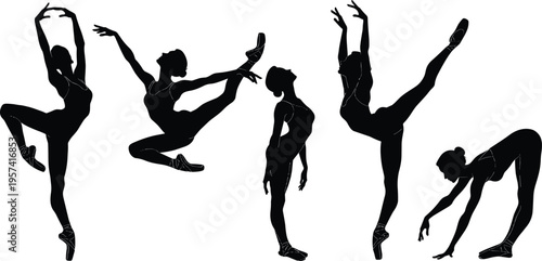 Elegant silhouettes of ballet dancers in graceful poses, showcasing artistry, flexibility, and strength through expressive movement, perfect for dance, performance, and cultural stock imagery.