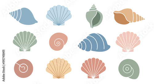 Colorful seashells on white background.