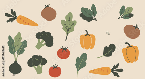 Fresh colorful vegetables on display.