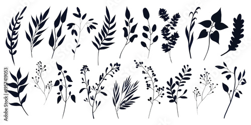 A collection of various hand drawn botanical elements and plant silhouettes on white background