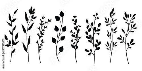 A collection of eight distinct black botanical silhouettes isolated on a plain white background