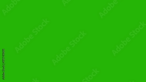 Lots of camera flashes. Photos captures, camera flashes effect on green screen, chromakey	
