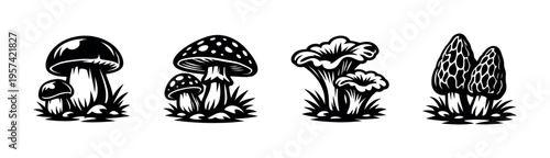 Black and white silhouette of various mushrooms vector illustration botanical elements