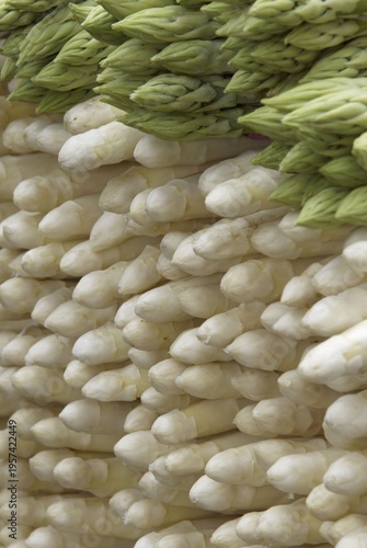 Asparagus (Asparagus officinalis), green and white