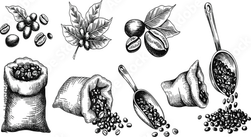 Hand drawn coffee beans set, vintage sack and scoop sketches, organic engraving vector for cafe