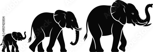 Elephant family silhouette vector with walking baby and adult elephants isolated on white background, animal