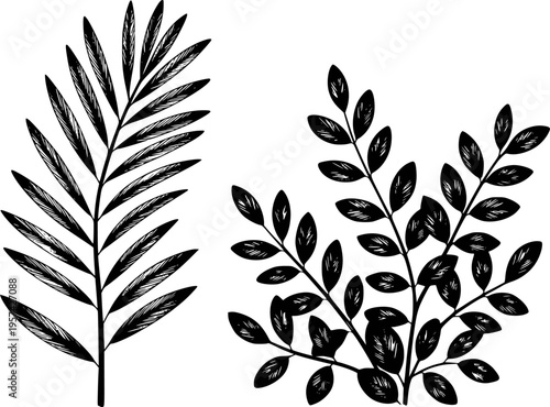 Black and white linocut style botanical of palm frond and leafy branches