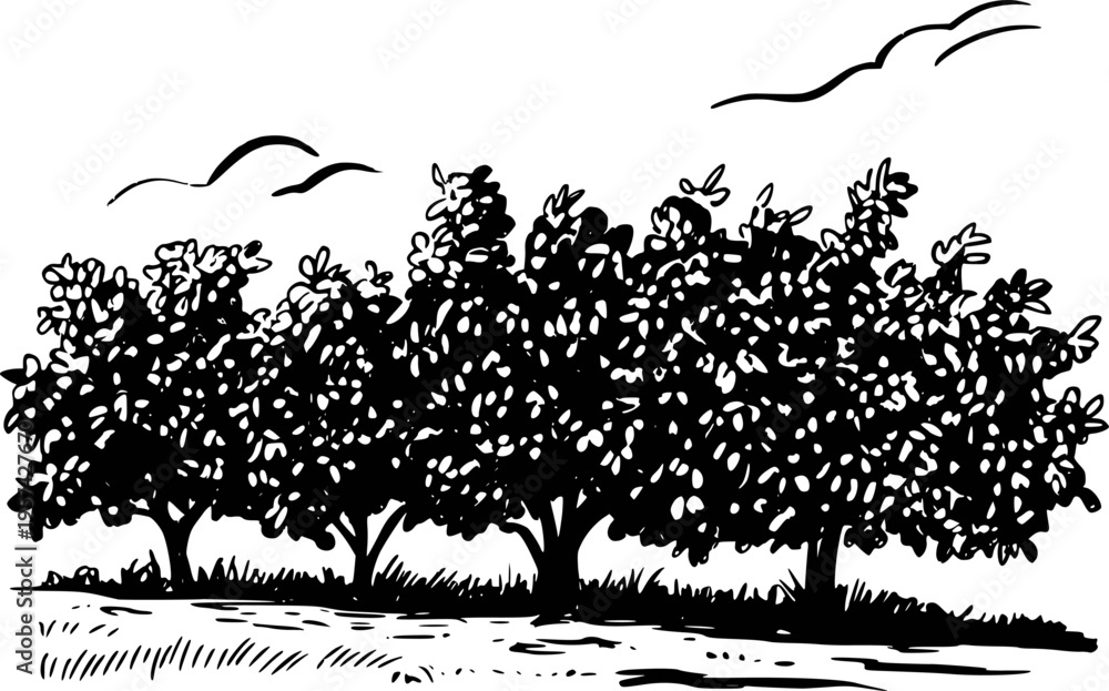 Fototapeta premium Black and white of a row of leafy trees with stylized clouds in the sky nature