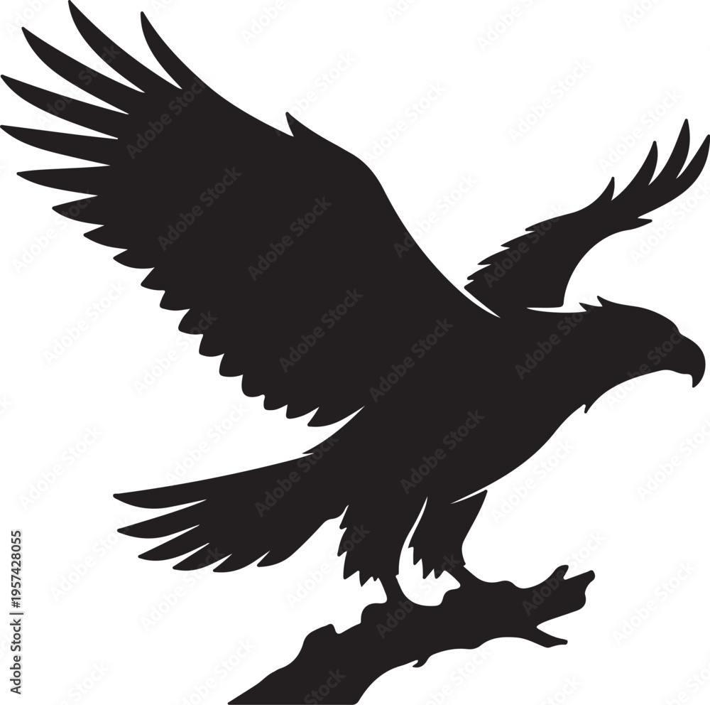Fototapeta premium Eagle Soaring with Wings Spread, Majestic Bird of Prey in Flight, American Bald Eagle Vector Silhouette, Powerful Raptor Wildlife Graphic
