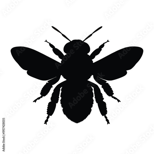 A simple black silhouette illustration of a honey bee shown from a top down perspective view
