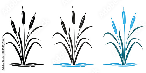 A set of three minimalist vector illustrations featuring cattail plants growing in a small pond
