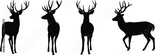 Black silhouette illustration of male deer with antlers, wildlife artwork symbolizing nature, forest animals, hunting themes, anatomy study, and rustic outdoor design concept