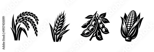 Black and white vector silhouettes of rice, wheat, soybean, and corn, botanical elements illustration