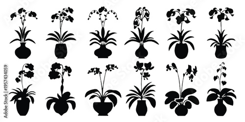 A collection of twelve black and white silhouette icons representing various types of house plants