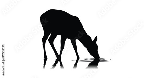 A graceful deer drinks from water creating ripples a silhouette