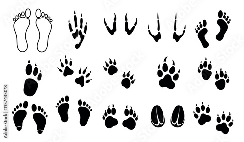 Collection of various animal footprints and paw prints in different sizes and shapes