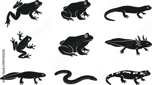 Collection of amphibian silhouettes vector illustration