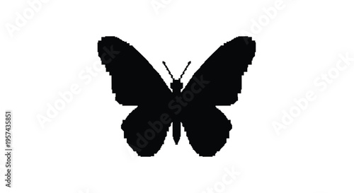 A striking black butterfly form presented as a detailed silhouette