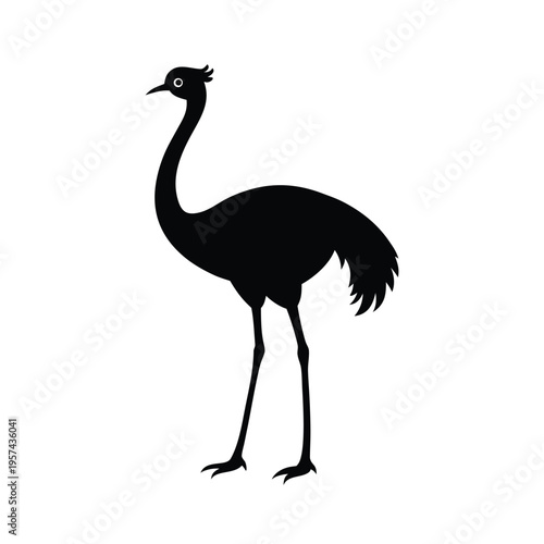 Silhouette of ostrich bird standing on white background illustration