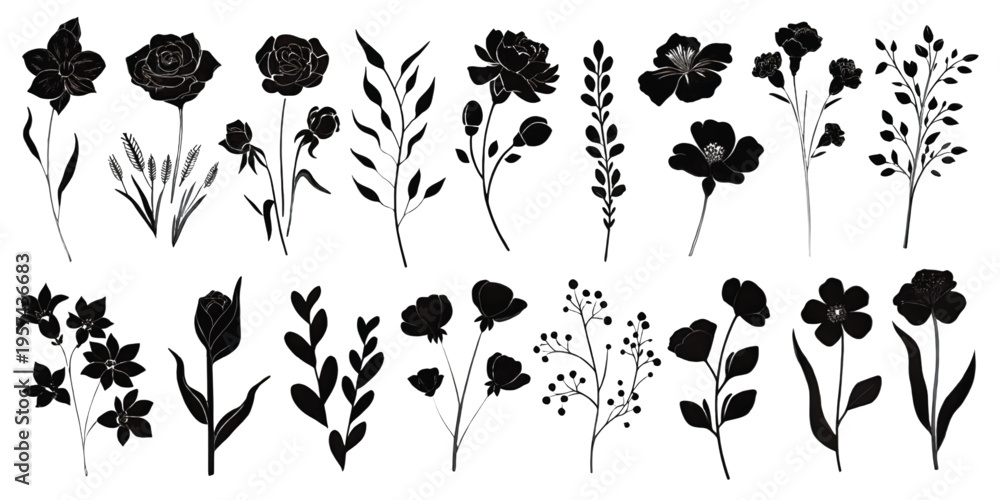 Fototapeta premium A collection of various hand drawn botanical flower and foliage silhouettes in black and white