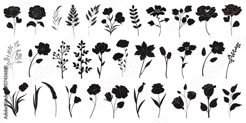 A comprehensive collection of hand drawn floral silhouettes isolated on a plain white background