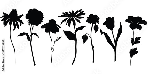 A collection of seven distinct black flower silhouettes arranged in a simple horizontal line design