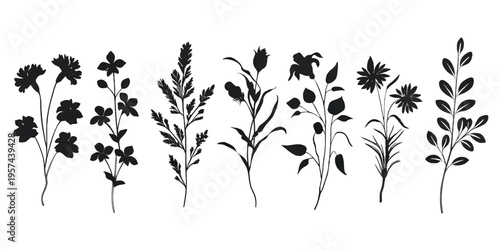 A collection of black and white botanical illustrations featuring diverse wild flowers and herbs
