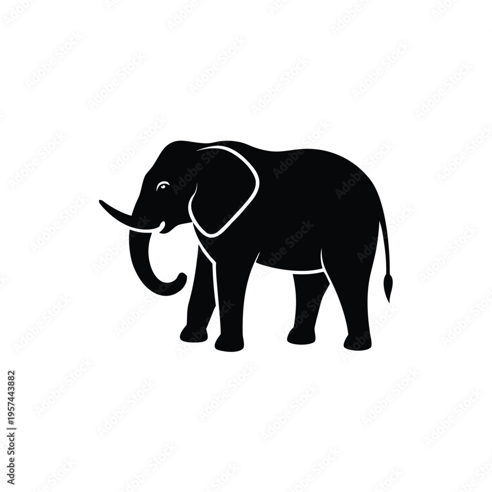 Fototapeta premium Full body elephant silhouette walking gracefully its trunk curled black isolated