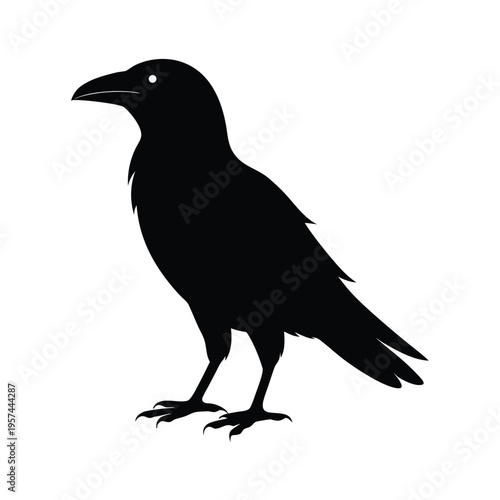 Black silhouette of a raven isolated on white background looking to the left