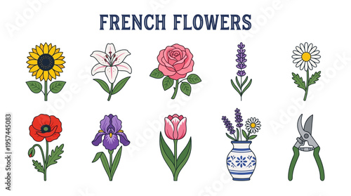 Illustration of ten French flowers a floral arrangement and pruning shears on a white background