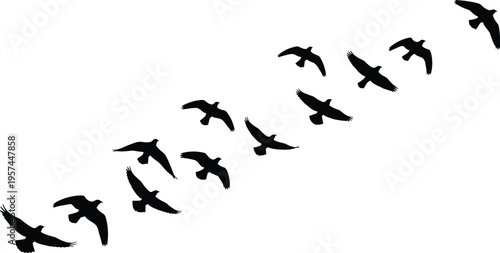 Black flying birds flock silhouette set, migratory birds in flight, group of crows and pigeons vector for nature landscape design.