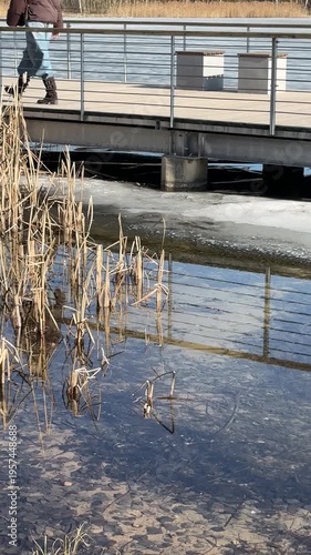 Person walking on lakeside boardwalk above icy water, calm reflection and spring thaw scene, slow living, mindfulness and connection with nature concept, minimal seasonal outdoor background