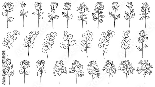 Collection of Hand Drawn Botanical Line Art Vector Illustrations Featuring Various Rose Stems Eucalyptus Sprigs and Delicate Baby's Breath Twigs Isolated on White Background