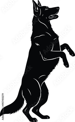 Black and white vector silhouette of a German Shepherd dog standing on hind legs in an alert jumping pose isolated