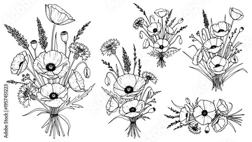 Collection of five hand drawn wild poppy flower bouquets and cornflower botanical elements perfect for natural themed rustic spring summer textile design or coloring book page illustration.