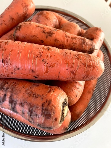 very fresh organic carrots bunch