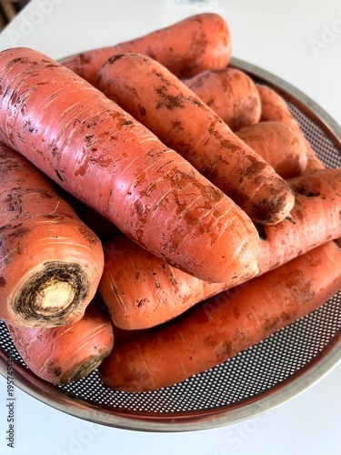 very fresh organic carrots bunch