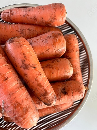 very fresh organic carrots bunch