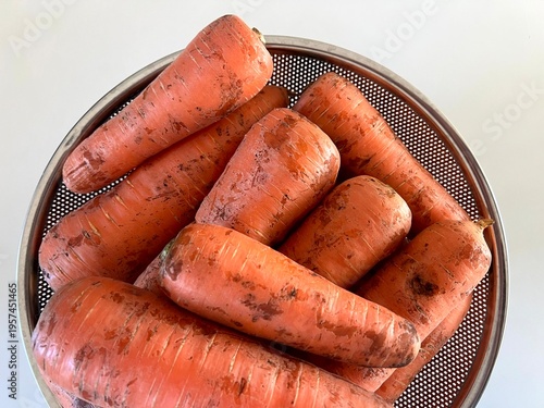 very fresh organic carrots bunch