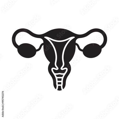 Simple black outline illustration of a female reproductive system