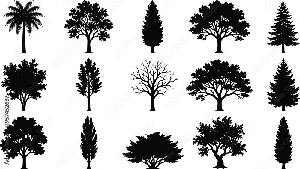 Fototapeta premium Detailed Black Silhouette Set of Various Trees, Including Palm, Deciduous, Coniferous, and Leafless Species, Ideal for Landscape Design, Nature Icons, Architecture Planning, and Botanical Graphics.