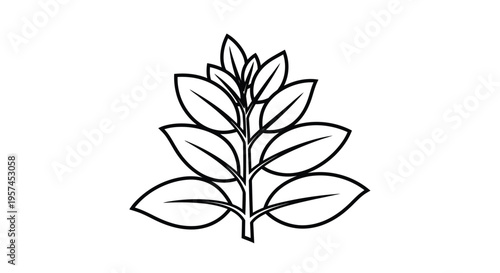 Simple line drawing of a leafy plant stem with overlapping leaves