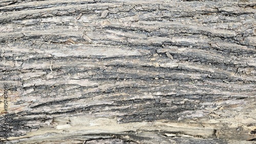 Фотография Close up of layered rock formation with visible striations and texture