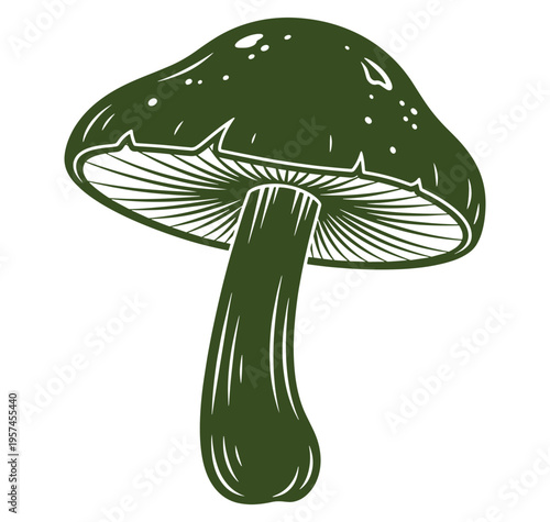 A drawing of a green mushroom with a long stem and a wide cap on transparent background