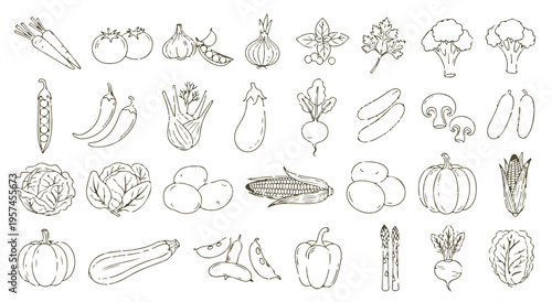 Hand Drawn Vegetable Sketch Set, Organic Garden Food Line Art, Fresh Vegetable Doodles Collection