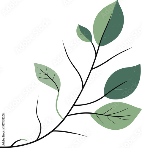  Simple leaf branch with organic curve shape, flat vector illustration, bold black outline, minimal line art, white background 3