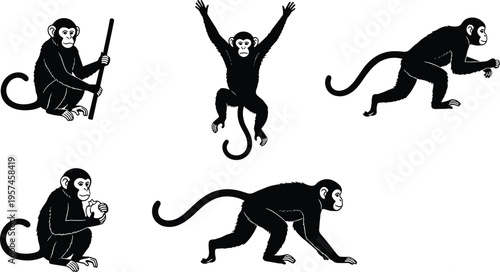 Black and white monkey vector illustration set featuring expressive poses, curled tails, and natural animal behaviors for creative artwork projects