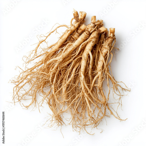chinese violet roots on white background