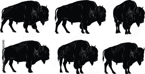 American bison silhouettes set, buffalo bull standing and walking poses collection, wild prairie animal vector icons isolated on white background.