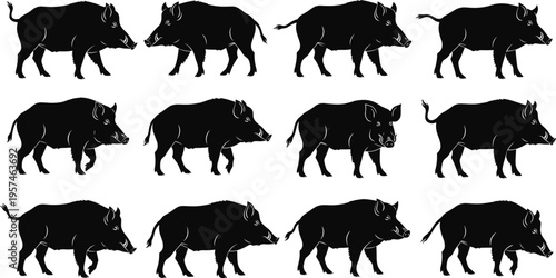 Black wild boar silhouettes set, various standing and walking poses, forest animal hog vector icons isolated on white background collection.